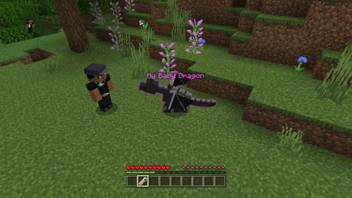 Baby Ender Dragon: Screenshot 2