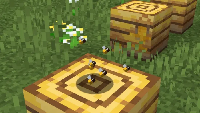 Baby Bees! So Adorable!