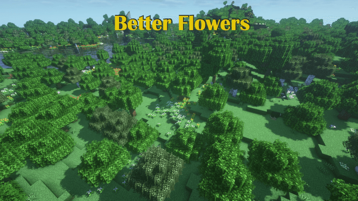 Better Flowers Banner