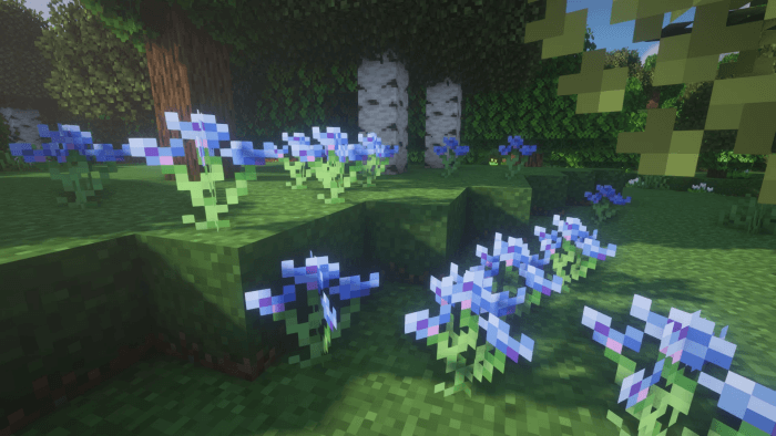 Better Flowers: Screenshot 2
