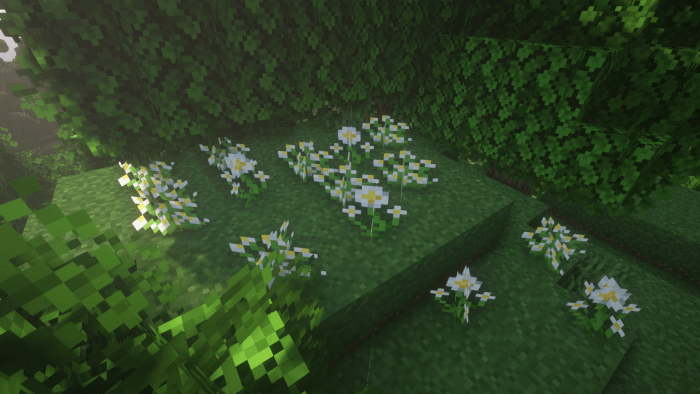 Better Flowers: Screenshot 3