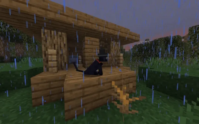 Black Cat with Witch Hat: Screenshot 2