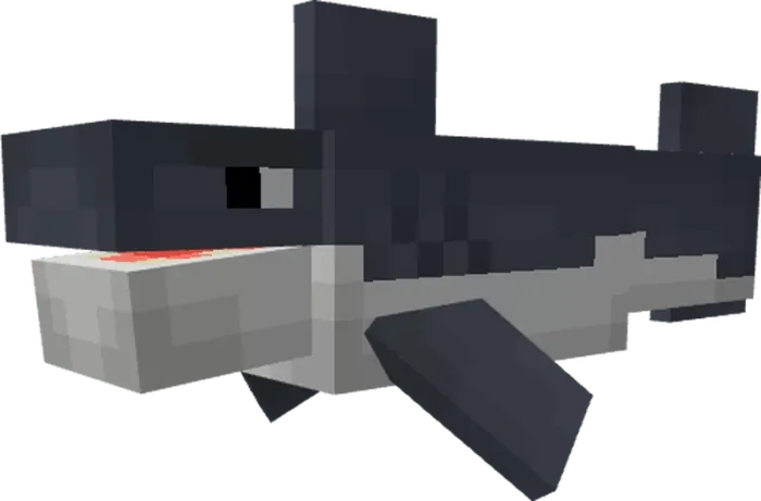 BrownOwl's Shark Model