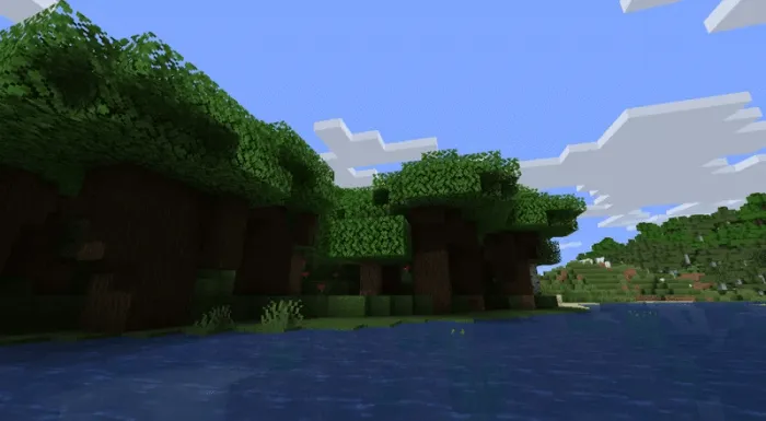 Dark Oak Forest - Before: Screenshot