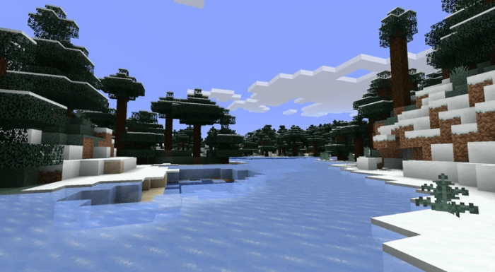Snow Biome - After: Screenshot
