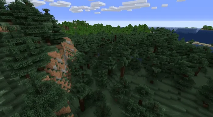 Spruce Biome - Before: Screenshot 1