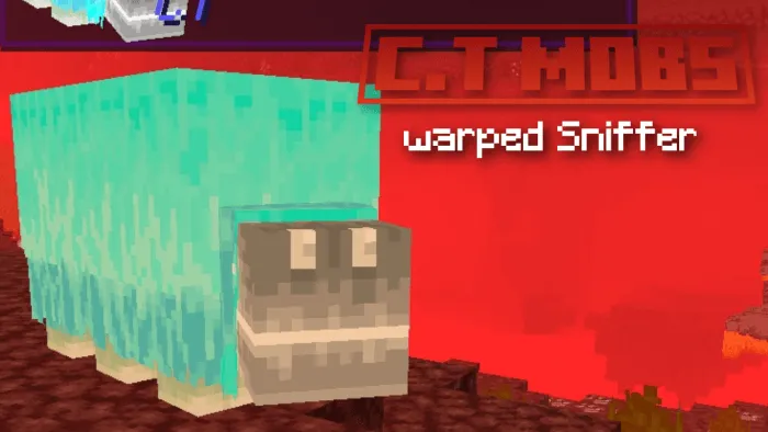 Warped Sniffer