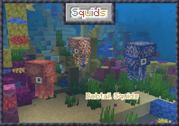 Bobtail Squids: Screenshot