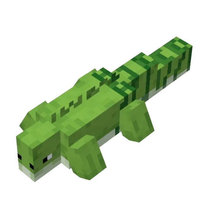 Iguana