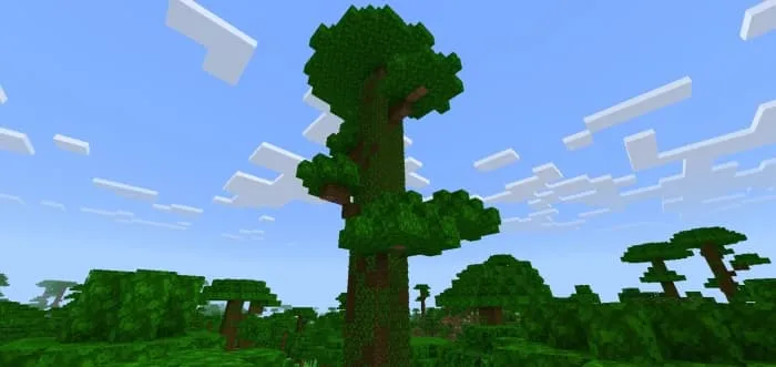 Jungle Trees: Screenshot