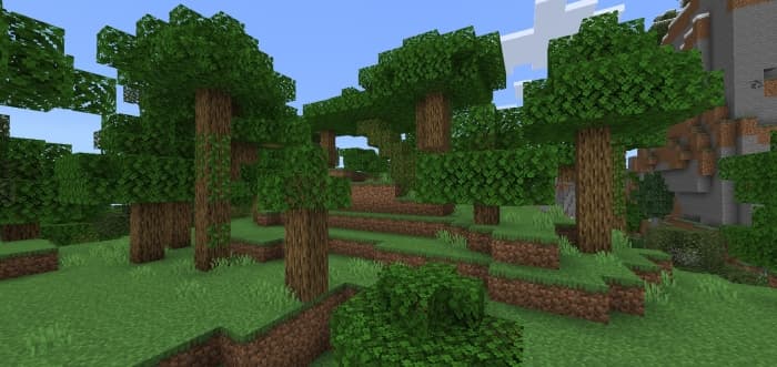 Oak Trees: Screenshot