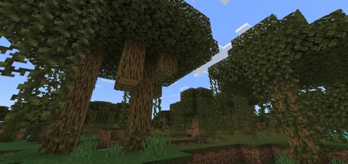 Swamp Oak Trees: Screenshot