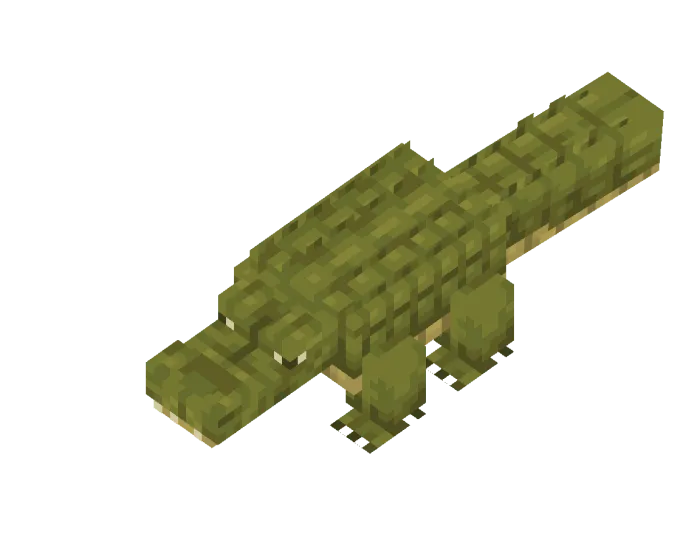 Crocodile