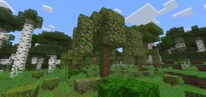Azalea Tree: Screenshot