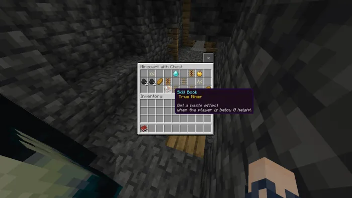 True Miner Book