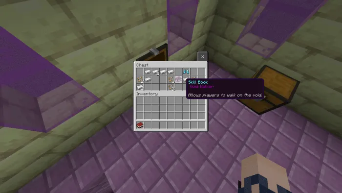 Void Walker Book