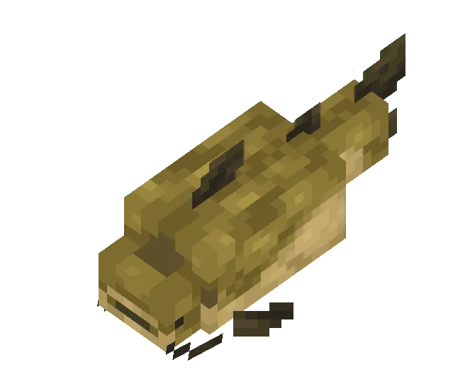 Catfish