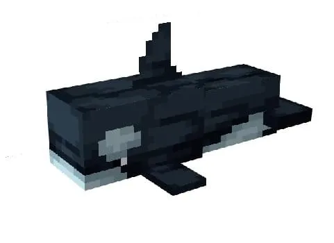 Orca