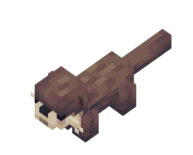 Otter