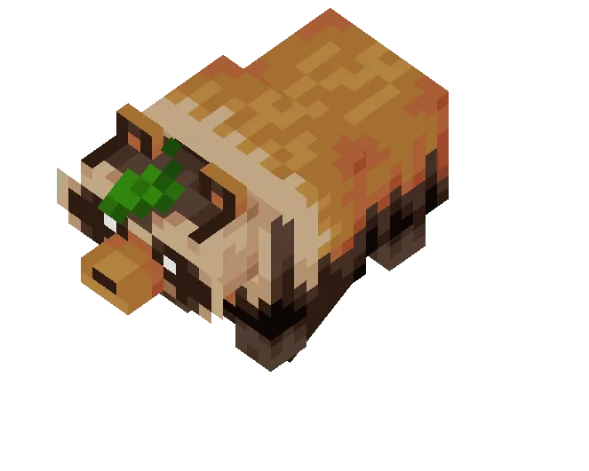 Tanuki