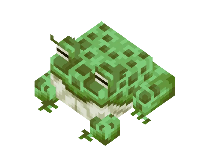 Toad