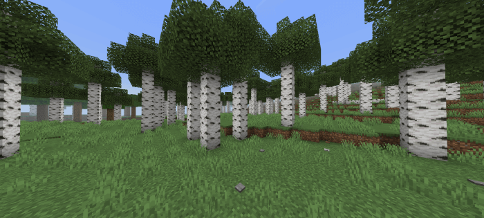 Taller Trees: Screenshot 2