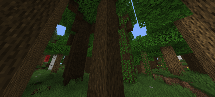 Taller Trees: Screenshot 5