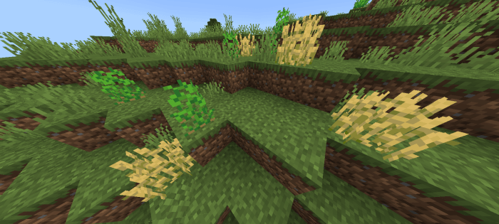 Wild Crops: Screenshot 1