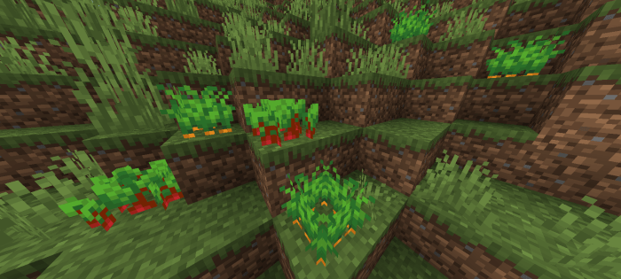 Wild Crops: Screenshot 2