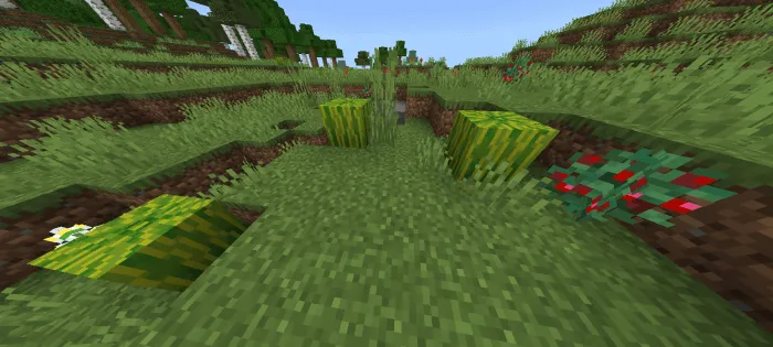 Wild Crops: Screenshot 3
