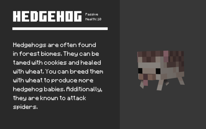 Hedgehog Info