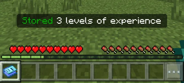 Stored 3 levels of experience