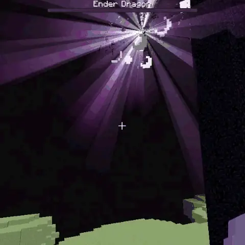 Heart Enchanted Apple dropping from Ender Dragon