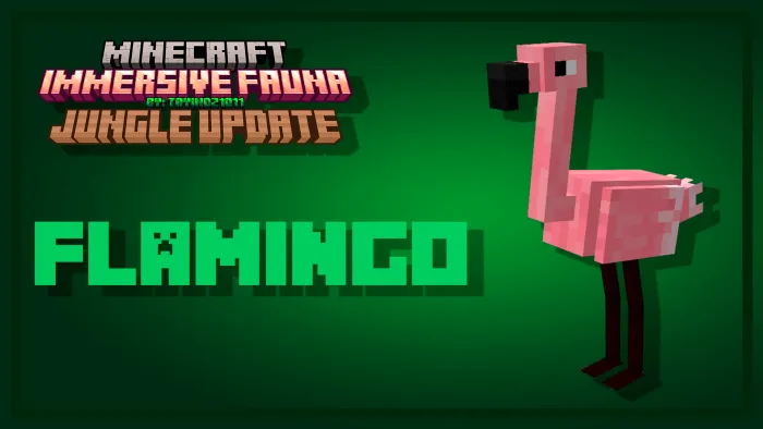 Flamingo