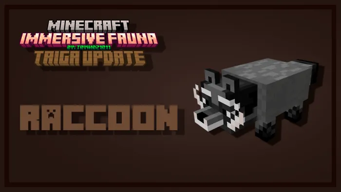 Raccon