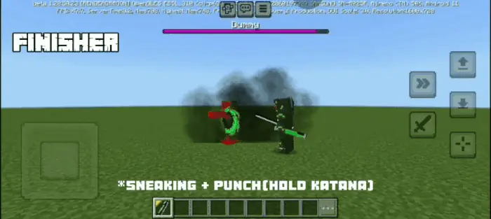Finisher: Animation 2