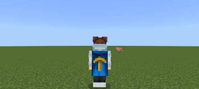 Minecon Capes: Screenshot 6