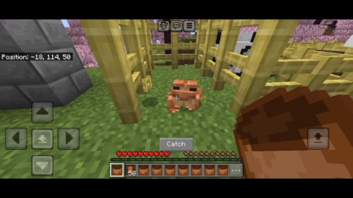 How to catch mobs: Screenshot