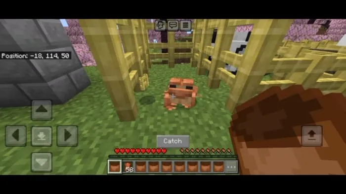 How to catch mobs: Screenshot