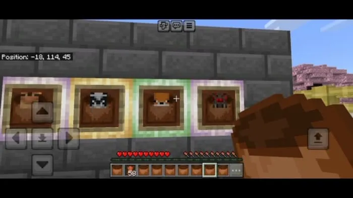 Variations of Sacks: Screenshot 1