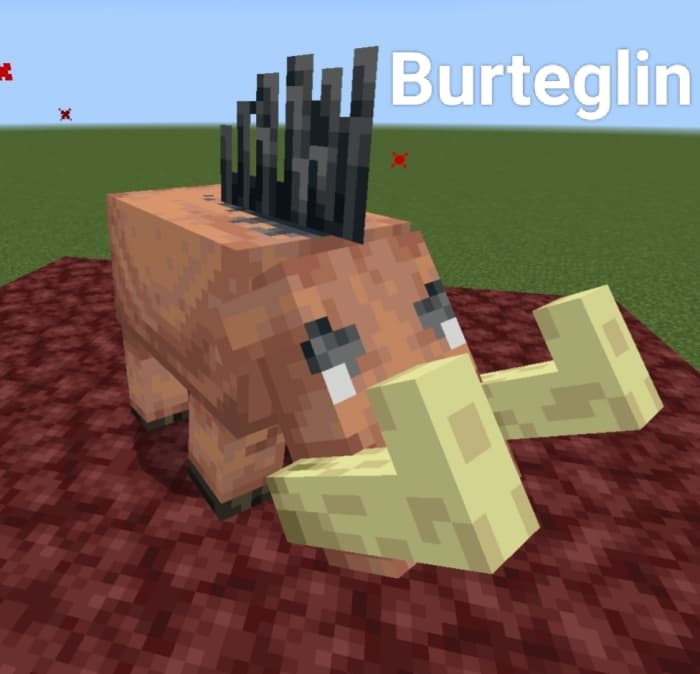 Burteglin