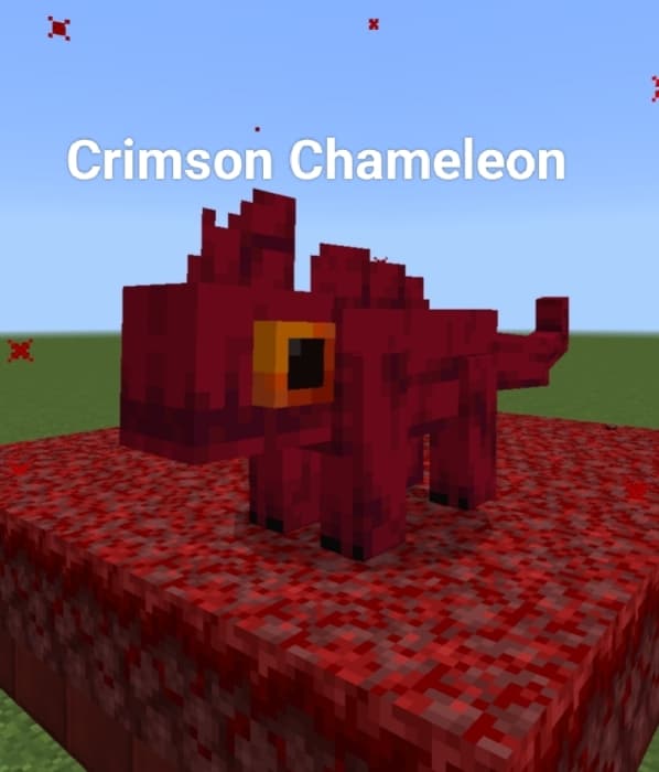 Crimson Chameleon