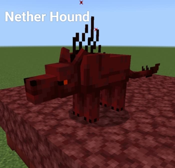 Nether Hound