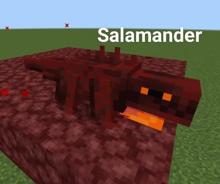 Salamander