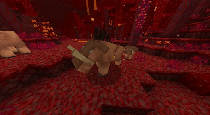 Hoglin Beasts: Screenshot 1