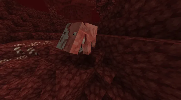 Zombie Hog
