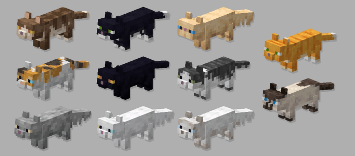 Pixel Consistent Mobs: Models 1