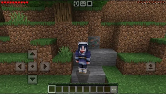 Pokémon Skin Pack: Screenshot 13