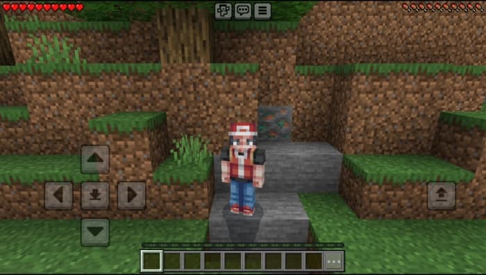 Pokémon Skin Pack: Screenshot 15