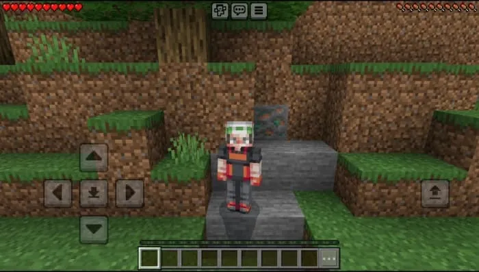 Pokémon Skin Pack: Screenshot 17